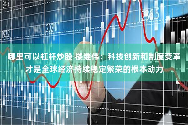 哪里可以杠杆炒股 楼继伟：科技创新和制度变革才是全球经济持续稳定繁荣的根本动力